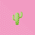 Cactus Design sin profil