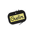 Anton Gudim's profile