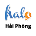 Halo haiphong's profile