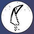 Dunja Paj's profile
