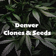 Denver Clones And Seeds's profile