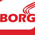 Borg Energy India Pvt Ltd's profile