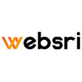 Websri A Unit of SSSPLs profil