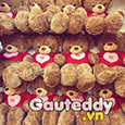 Gau Teddy's profile