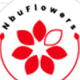 Perfil de Nbu Flowers