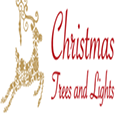 Christmas Trees and Lights 的个人资料
