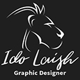 Profil von Ido Laish