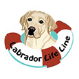 Henkilön Labrador Life Line profiili