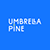 UMBRELLA PINE's profile
