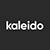 Profil appartenant à kaleido works