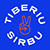 Tiberiu Sirbu's profile