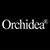 Orchidea Agency's profile